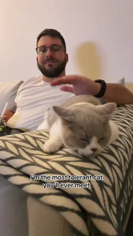 I might tolerate this nonsense but I do think the humans are annoying sometimes… 🙃🙃🙃 #catmom #catdad #cats #cathuman #catlovers 