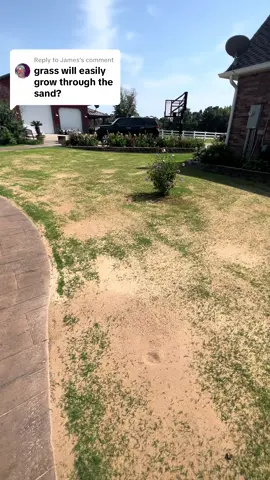 Replying to @James more specific answer: Bermuda grass and other warm season grasses will grow through. Bluegrass can do it (see connor ward on YT) but if you have tall grass there probably isnt much of a reason to put sand on the lawn. #sandleveling 