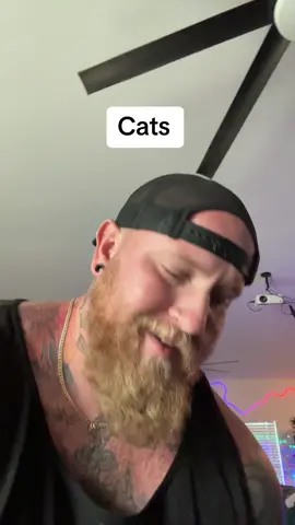 Cats 