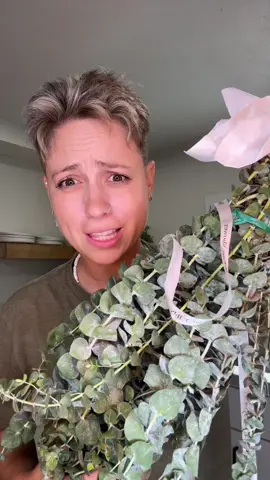 Replying to @Olivia Jesse ill never stop talking about this plant haha #fyp #fypシ #foryoupage #foryoupagethis #foryou #eucalyptus #plant 