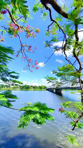 Ngồi gặm nhấm lại chút kỷ niệm sau một chuyến đi. Lần đầu tiên trong đời mình lái xe chạy thẳng từ Hạ Long lúc 5h sáng và đến Huế lúc 8h tối. Với quãng đường 800 km