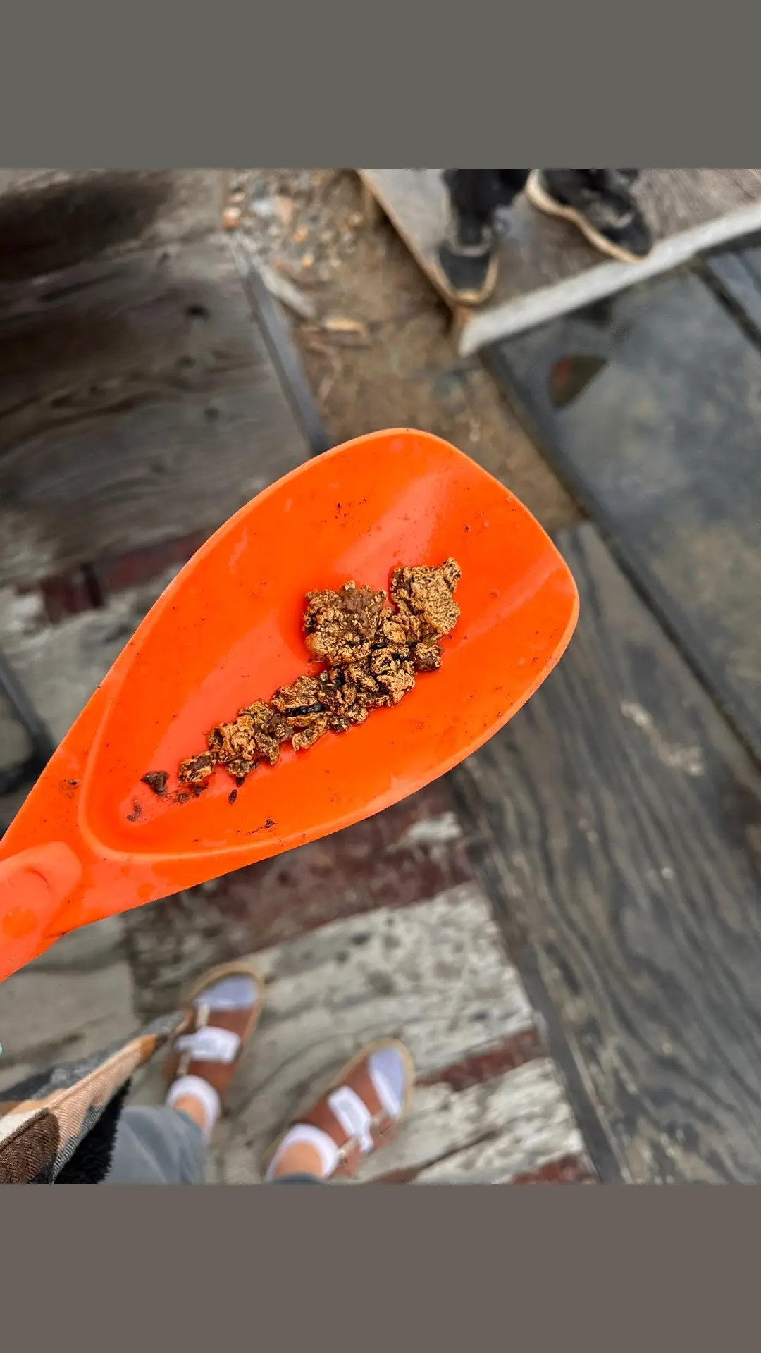 You could say today was a success! We sell raw natural gold nuggets directly from our placer mining operation in the Yukon, Canada 🇨🇦      #placermining #placermine #gold #yukongold #goldnugget #goldnuggets #rawgold #canadiangold #canada #yukon #placermine #naturalgold #naturalgoldnuggets #rawgoldnuggets