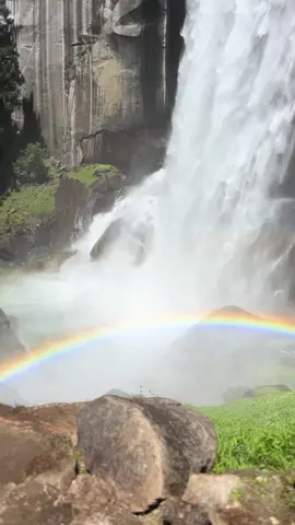 Yosemite girls trip-highly recommend 