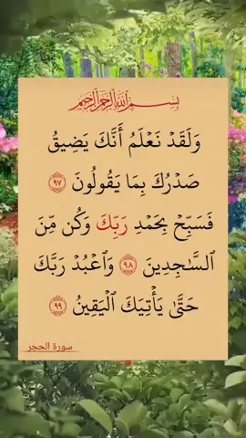 masha'allah 💐🌾 taskar_ilimi_2 #taskar_ilimi2 #taskar_ilimi #musulman #islam #quran #islamtiktok #arewa24 #islamtiktok 