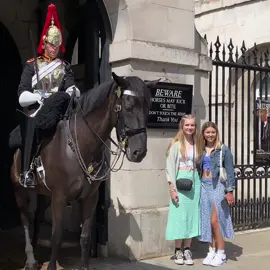 #foryoupage  #tiktokviral #viraltiktok #viralvideo #videoviral #follow #subscribe #like #share #bestvideo #fypviral #donottouch  #horseguardsparade #changingoftheguards #royalguards #thekingsguards #kingsguard #kingshorse #fyp #foryou #fypシ #fanpage #tourists #london #bluesandroyals 