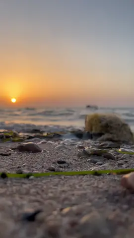 #tunisia🇹🇳 #kerkennah🏖⛵🌊🌅  #keşfet #beatifulview #summervibes 