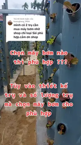 Trả lời @hoanglong_1986 #raukhicanhquangnam #xuhuong #trending #vattulamvuonbaominh #rausach #vườn 