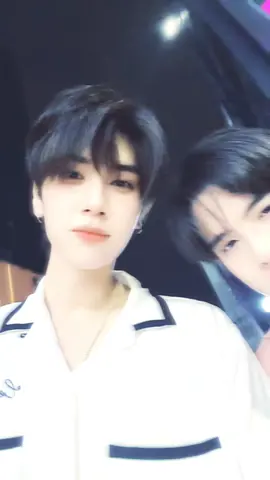 มัมหมีคับ