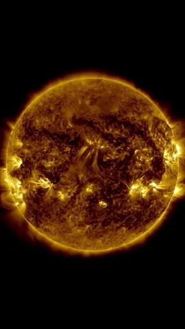 A period of a lot of solar activity.  Via NASA Solar Dynamics Observatory.  Audio: Idea 22 (Sped up) by gibranalbo #nasa #solar 