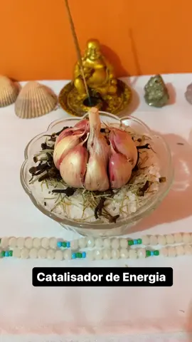 🌿 Catalosador de Energias 🌿 Esse amuleto protetor vai te ajudar contra inveja, mau olhado e olho gordo seja na sua residência, estabelecimento ou até mesmo na sua mesinha de trabalho!  Você vai precisar de: 🧙‍♂️🔮 🌿 Sal Grosso  O Sal afasta as energias ruins e os maus espíritos, protegendo seu lar  limpando e renovando as energias do ambiente.  🌿 Alecrim O alecrim ajuda na purificação trazendo alegria, boas vibrações e afastando o olho gordo.  🌿 Cravo da Índia  O cravo atrai boa sorte trazendo prosperidade além de afastar o mau olhado  🌿 Uma Cabeça de Alho  O alho afasta espíritos obsessores ajudando a combater o mal Coloque o sal em um pote de vidro até cobrir, adicione um pouco de alecrim, cravo da Índia e uma cabeça de alho. Coloque atrás da porta de entrada da sua casa ou em algum cantinho no seu estabelecimento ou lugar de trabalho, assim que o alho murchar jogue tudo em um jardim ou matinho e refaça novamente! #umbamda #ritual #bruxaria #simpatia #protecaoespiritual #magia #dicadodia 