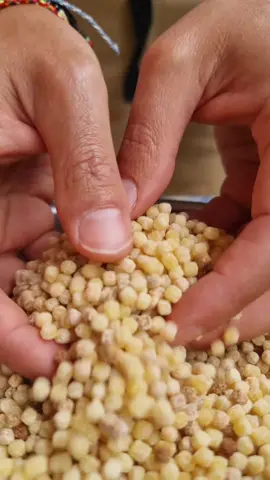 I'm guessing some of you have never heard of Fregula? 🧐🤌 It's a type of pasta from Sardinia and the speciality of this pasta is its shape. They are like small crumbs of pasta, of different sizes, and they're made by kneading semolina and water for a long time before toasting in the oven.  Fregula can be treated like a risotto or a cous cous. I wanted to show you something easy, simple and fresh, perfect for summer. For this recipe you can really make it your own by using different types of seasonal vegetables depending on where you're from! 😌 Making fregula from scratch is a very long process and not very easy, so for this video I used the shop bought version (you can find this in Italian delis). I'm will be shooting a video soon where I can show you the whole process!  Ingredients below for the Summer Fregula 👇 :  Makes 6 portions.  500g fregola  4 litres of vegetable stock (taste for salt - the stock should be seasoned the same amount as when cooking normal pasta)    For the Dressing:  1 large lemon 4 tbs olive oil 3 tbsp runny honey To roast:  1 large aubergine 1 large pepper  2 zucchine A pinch of salt  For the Garnish:  Cubed Feta cheese  Parsley A variety of coloured tomatoes   #fregula  #sardinia  #couscous  #summerpasta  #summerrecipes  #seasonalfood  #seasonal  #ricotta  #recipeoftheday  #comfortfood  #italianfood  #mediterraneandiet  #italiansummer 