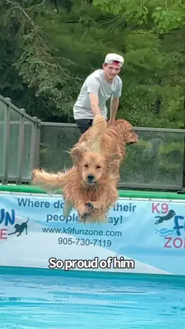 Never give up on your dreams 🥺 this is Colin over the course of a year gaining confidence and loving dock diving ☺️❤️ #dockdiving #goldenretriever #dogsoftiktok 