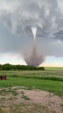 The calmest tornado Ive ever seen #shorts #viral #viralvideo #fyp #fypシ