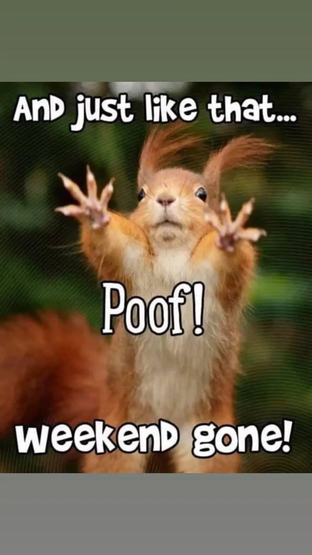 Wishing you a Happy & Productive Week!! #mondaymood #motivation #happyweek  