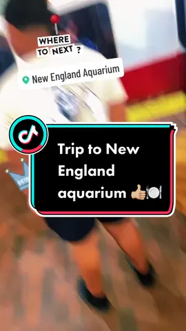 Hey plate fam ‘ we took a trip to the #newenglandaquarium for juju’s #birthday 🥰🎂🎉 #viral #fyp #entertainment #food #Foodie #foodtiktok #snackhack #snacks #FoodLover #boston #bostonaquarium 
