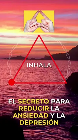 El secreto para reducir la ansiedad y la depresión en solo 3 minutos. #medita #respiracion #respira #mind_transformacion #mudra #meditacionesdiarias #meditacionparaprincipiantes #calmarespira #ansiedad 