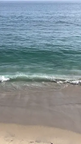 my favorite time of year 🌊🌸 #summervibes #lagunabeach #Summer 
