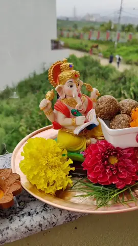 ॐ श्री गणेशाय नम: 🙏🙏 #ganapatibappamoraya  #ganeshpuja #tuesdaypuja #hindupuja #homealtar #tuesdaymorning #mangalmurti 