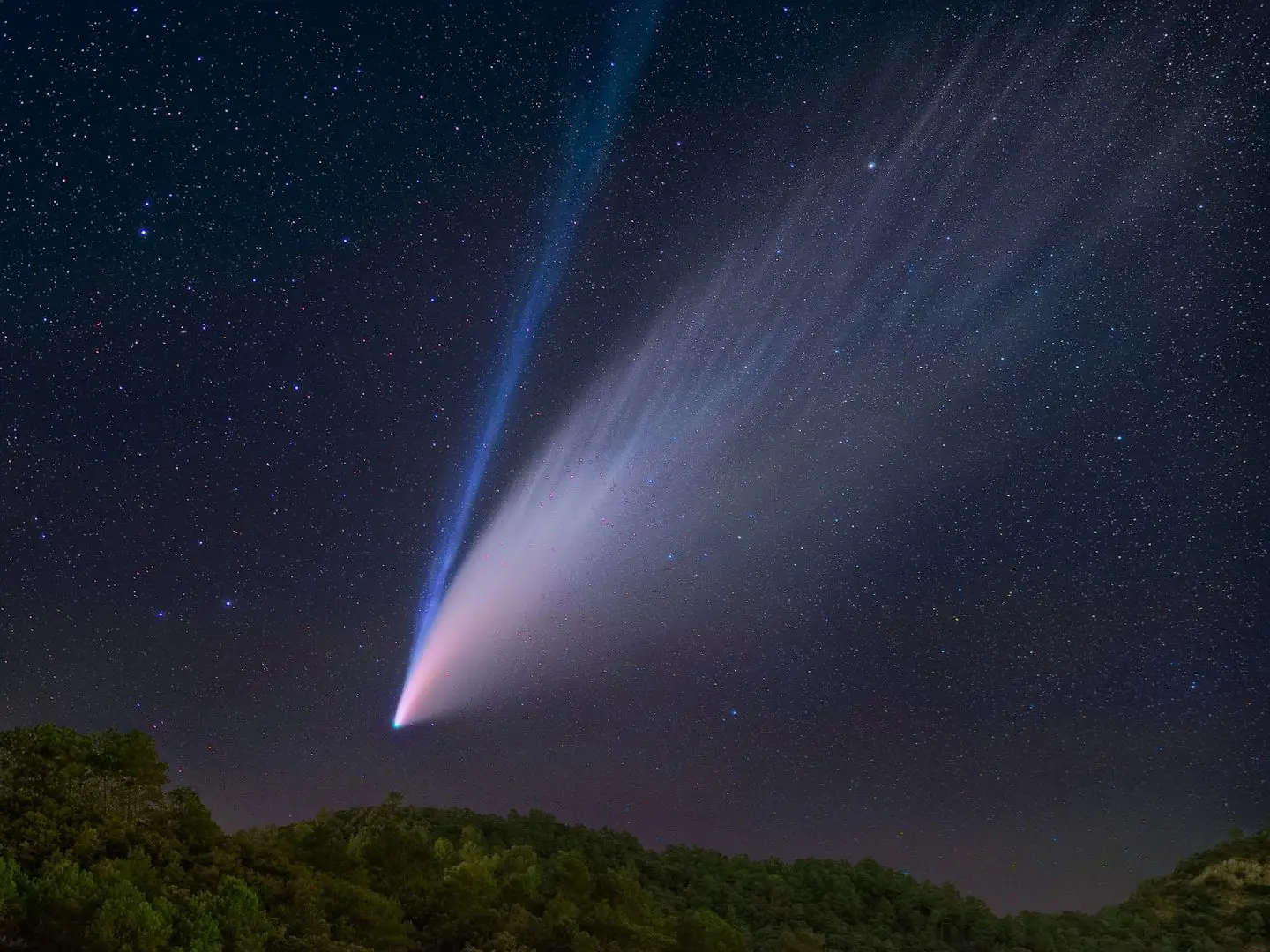 Comet in the sky ☄️☄️#astrophysics #universe #space 