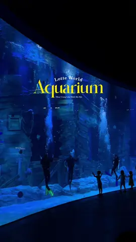Aquarium Lotte Tây Hồ - Thuỷ cung lớn nhất Hà Nội đã chính thức đón khách rồiiiiii 🥹  #lottetayho #fyb #xuhuong #thuycung