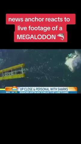 #news #megalodon #shark #greatwhiteshark #live #newsfootage #sea #fypシ #trending #xyzbca #foryou #fyp #fypシ゚viral 