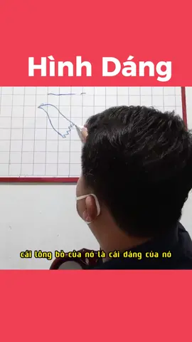 Vũ Kỳ Gò Công _ Bàn Về Hình Dáng Gà Hay  #vukygocong #gà_chọi_việt_nam #gàchoivietnam🇻🇳 #gàchọi #xuhuongtiktok