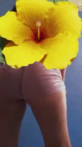 #fakebody #fakesituation #chapa #flor #parati #yfp #viral #foryou 