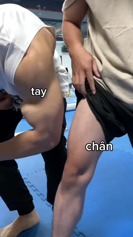 ae nào tự tin tập được hết lịch này coment ở bên dưới nha  !  #sonhanma #xuhuong #fyp #huongdan #calisthenics 