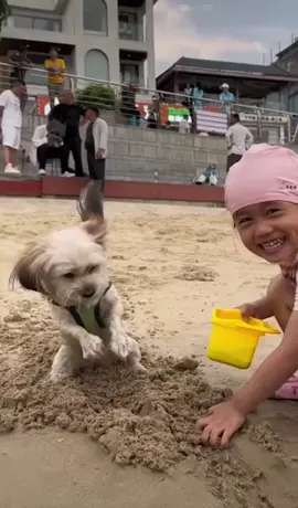 Bé này dui tánh quá à 😃#pets #pet #cute 