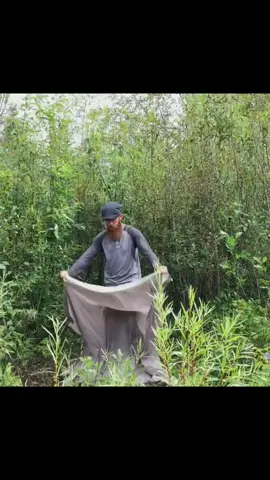 camping next to a river#camping #bushcraft 