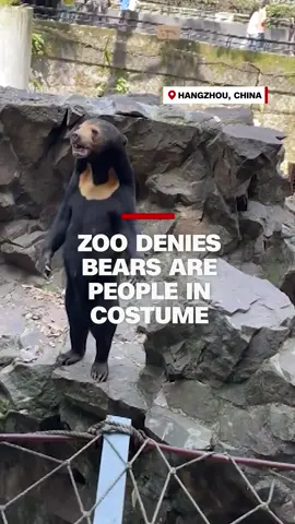 A zoo in China told visitors its sun bears are real, after videos of the animal standing like a person went viral on Chinese social media, prompting rumors that it was a human in disguise. 