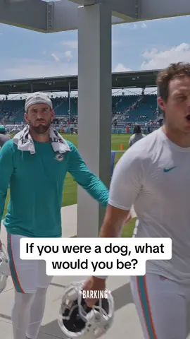 They all got that dawg in them 🐶😂 #miamidolphins #football #nfl #trainingcamp 