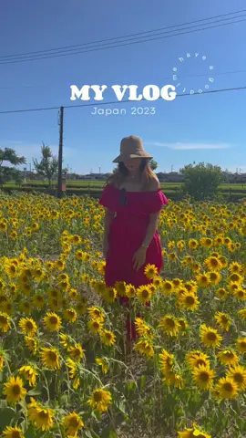 #袋井市 #foryou #tiktokmyanmar #静岡県 #ひまわり #向日葵 #fypシ #ひまわり畑 #静岡県 