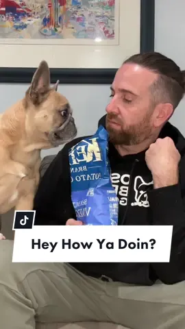 Oh NOW you want to listen… #dogs #frenchbulldog #yingyangtwins #dogparent #hungrydog #begging IB: @Teddy & Johnathan  @Somefrenchienamedapollo  @Somefrenchienamedapollo  