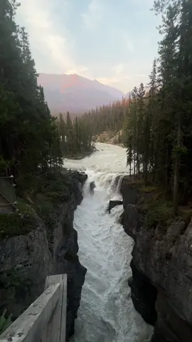 Sunwapta falls is a 42 minute drive away from the town of Jasper. Majority of people visit the waterfall during the day which makes this area crowded.  But a little secret would be to visit the waterfall at sunset! At sunset there was not one person around which gave us the liberty and angles to film and take pictures of the majestic waterfall.  #sunwaptafalls #jasper #sunwaptafalls🇨🇦🍁 #waterfalls #sunwapta #jaspercanada🇨🇦 #westcoast 