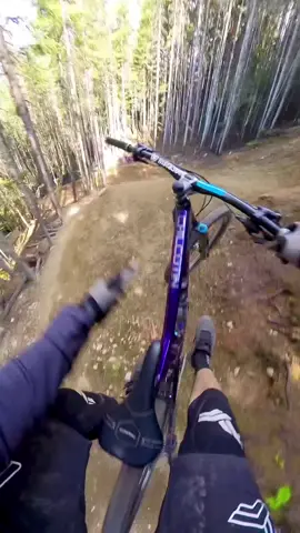Pro line whistler jumps! @insta360_official x3 #insta360 #insta360x3 #insta360mtb #whistler #whistlerbc #mtb #mountainbike 