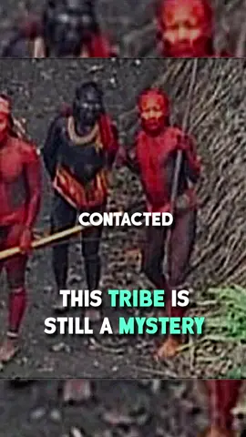 This Tribe Is Still A Mystery. #jreclips #amazontribe #mystery 
