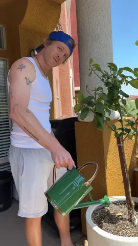 when he waters the plants, look at him!!! 🤤🥹💦 @Sean Kolar   #softtop #marriagehumor #marriagecomedy #husbandwife #husbandwifecomedy #husbandsoftiktok #couplecomedy #couple #husband #wife #couplestiktok 