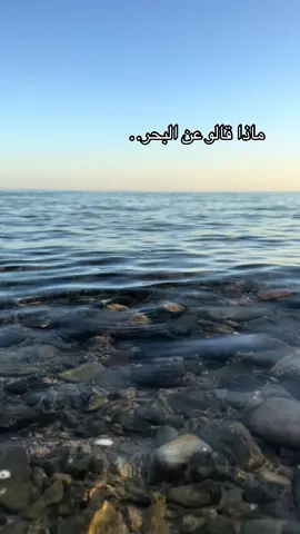 ‏مثل البحر هادئ لكن في داخله عالمًا أخر . #ضباء #تبوك #تصويري #شاركوني #رايكم #اكسبلورexplore #اضافه #البحر 