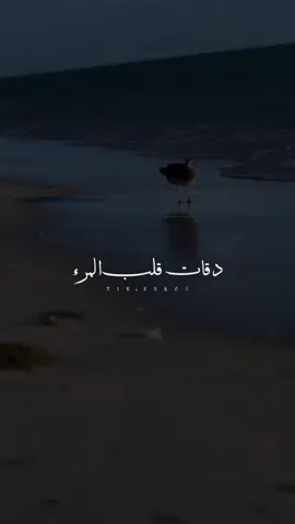 دقات قلب المرء .. #غيث 