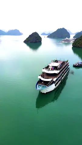Halong bay cruise on Rosy Cruise ship! What a wondeful experinec. I did 2 days 1 night #halongbay #halongbayvietnam #halongbaycruise #halongbay2023 #halongbaycruises #cruise #cruiseship #cruisetok #cruiselife #cruiseshiplife #hanoi #vietnam #travel #checkinvietnam 