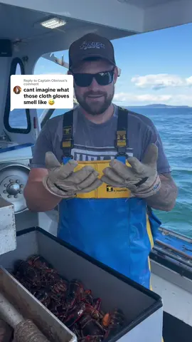 Replying to @Captain Obvious #wif 
