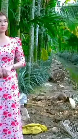 Ai Đến Miền Tây Sẽ Biết...!#nhactrutinh #dancamientay #nhacdanca #nhacmientay #MongNghi #nhacxuhuong #xuhuongtiktok #xuhuongmoi #nhachaymoingay #amnhacgiatri 