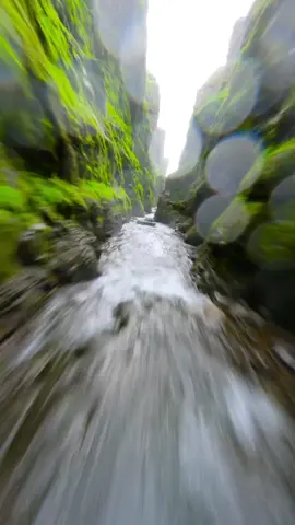 The flight through the narrow canyon at the end is at original speed ☺️ I felt like in the pod race in Star Wars 😂 This is actually the second highest waterfall in Iceland with around around 198 meter. The bird flying with me is a Fulmar 🐤 it’s a seabird of the Procellaridae family and one of the most common bird species in Iceland. When threatened, the fulmar spits foul smelling stomach oil on its opponent 😅 They were a bit too interested in my drone and I was worried they would attack it ☝️ In the end we just flew peacefully side by side and enjoyed the beautiful scenery ⛰️   #iceland #fpv #drone #race #travel #canyon #warerfall