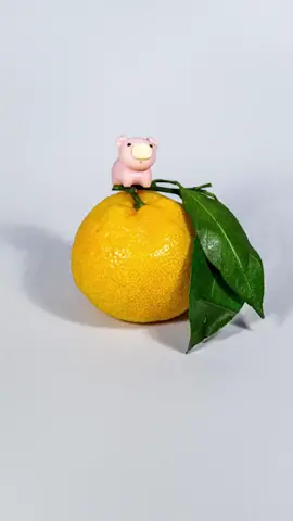 Cute Pig eating Oranges #cutepig #pigsoftiktok #stopmotion #asmrfood #asmreating #asmrsounds #foryou #fyp