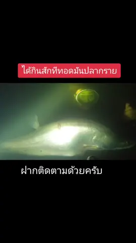 ทอดมันปลากราย