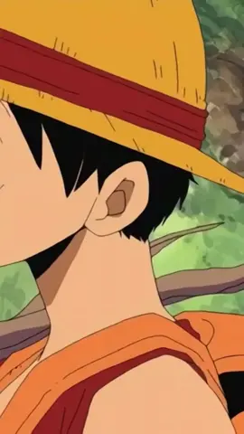 Membalas @Jinzoo. minami no shima wa, atatakai paina puru puru, atama pokapoka, aho bakaaaa                                            #luffy #singing #meme #anime #onepiece #fyp 
