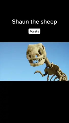 Fossils#shaunthesheep #masakjadigampang #serunyakuliner #foodfestontiktok #pinkpower #kartunanak #kartunlucu 