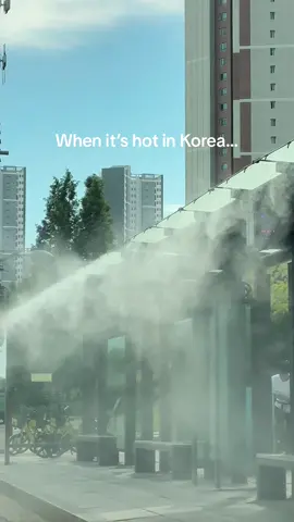 Sometimes Korea is just wow  #lifeinkorea#korealife#thiziskorea#koreanbus#koreanbusstop#한국 