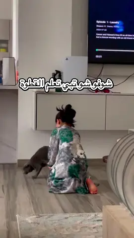 في طفولتنا اذكر كنا نوصل مرحلة انه نسولف مع الحيوانات ، او نبنيلهم عالمهم الخاص ، ونحس انه يفهمون علينا ،، لكن مريم تعدت هالمرحلة ، قاعده حاليا تحاول تقنعهم بالإسلام😅🤣 تتوقعون هذا تأثير من إجازه الصيف 😬؟! #kidsfun #fun #islam #happyvibes #kidsvideos #funyy #dubaikid #newreels #animals #cat #cats_of_world #animalswithcameras 